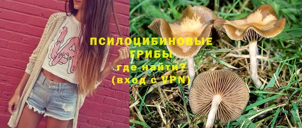 соль ск Кодинск