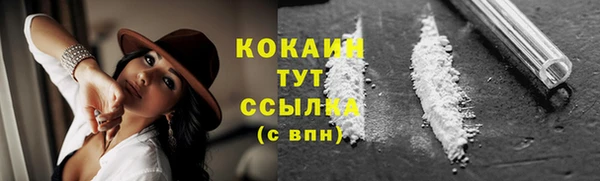 соль ск Кодинск