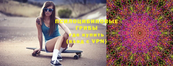 соль ск Кодинск