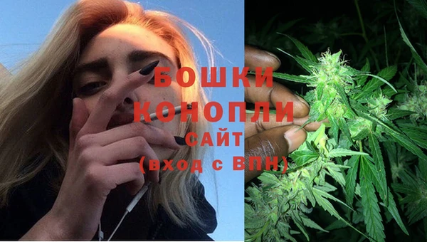 2c-b Козельск