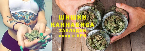 2c-b Козельск
