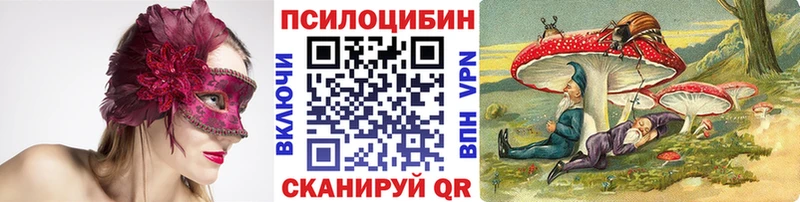 Купить закладки Нарьян-Мар Псилоцибиновые грибы Cubensis